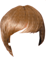 parrucca - ücretsiz png