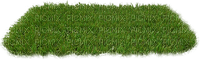 Gras - 免费PNG