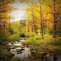 autumn background - zdarma png
