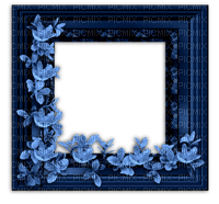 cadre et fleurs bleu ciel - nemokama png