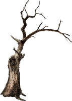 dolceluna gothic tree png steampunk - zadarmo png