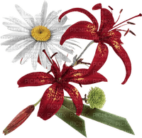 gala flowers - png grátis