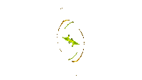 effect effet effekt overlay deco abstract gif anime animated animation circle yellow - Bezmaksas animēts GIF