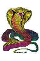 serpent.Cheyenne63 - Zdarma animovaný GIF