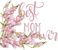 Kaz_Creations Text-Best-Mom-Ever - PNG gratuit