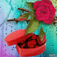róża i serca - Бесплатный анимированный гифка