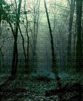 Fond.Background.Forêt.Green.Victoriabea - nemokama png