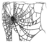 Spiderweb Halloween emo - darmowe png