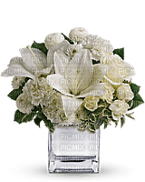 Kaz_Creations  Deco Flowers Vase Colours - darmowe png