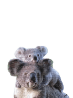 Australia animals koala bp - gratis png