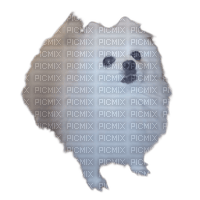gabe the dog - Free PNG