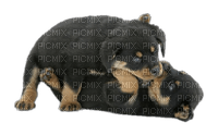 Kaz_Creations Animals Dog Pup - 免费PNG