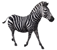 Kaz_Creations Zebra - bezmaksas png