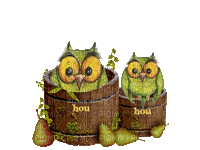 Autumn Fall Owls - Darmowy animowany GIF