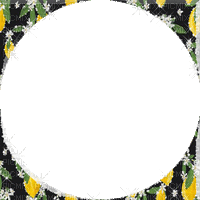 frame summer lemon fruit circle - Δωρεάν κινούμενο GIF