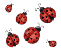 Kaz_Creations Ladybugs Ladybug Animated - Δωρεάν κινούμενο GIF