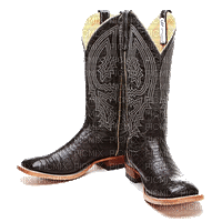 Black Western Boots - Gratis geanimeerde GIF