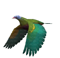 Pájaro de alas verdes - GIF animado grátis