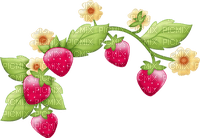 Strawberry Red Green  Yellow Charlotte - Bogusia - ücretsiz png