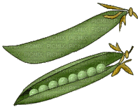 Gemüse - 無料のアニメーション GIF