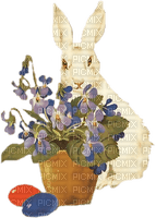 minou-easter-rabbit-påsk-kanin
