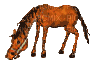cheval roux qui broute - Бесплатни анимирани ГИФ