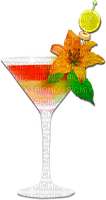 soave deo summer cocktail fruit flowers red green - Free PNG