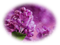 patymirabelle fleurs lila mauve - Free PNG