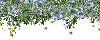 Bloemen en Planten - Zdarma animovaný GIF