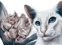 Y.A.M._Art Fantasy cat - besplatni png