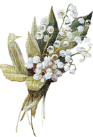 munot - frühling blumen - spring flowers - printemps fleurs - 免费PNG