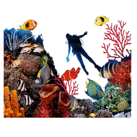 Aquarium - png gratis