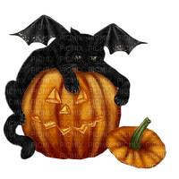 halloween katze cat - ilmainen png