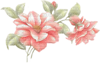 fleurs -c - PNG gratuit