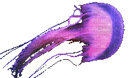 Медуза - Бесплатный анимированный гифка