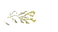 slime mold - GIF animado gratis