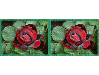 fleurs - Kostenlose animierte GIFs