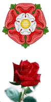 tudor and red roses - nemokama png