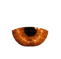 eyes dm19 - Gratis geanimeerde GIF