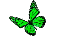 dolceluna animated green butterfly gif spring - GIF เคลื่อนไหวฟรี