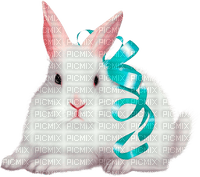 Y.A.M._Easter rabbit - Free PNG