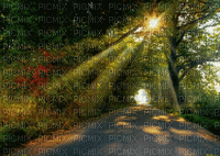Paysage.Landscape.Forest.Bosque.Victoriabea - GIF animé gratuit