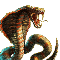 snake - Zdarma animovaný GIF