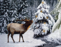 reindeer 1 - Nitsa - Δωρεάν κινούμενο GIF
