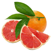 orange Bb2 - nemokama png