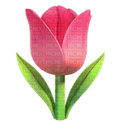 Tulip - By StormGalaxy05 - PNG gratuit