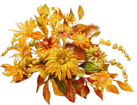 Déco fleurs ocre - PNG gratuit