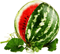 Watermelon.Red.Green - png gratuito