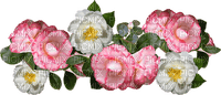 kukka, flower, fleur - PNG gratuit