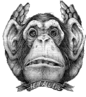 monkey - Gratis animerad GIF